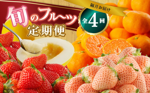 旬のフルーツ定期便（4回）／ 淡雪 白いちご さがほのか いちご 苺 キンショウメロン メロン ハウスみかん みかん 温室みかん 旬 フルーツ 果物 定期便 佐賀県 玄海町
