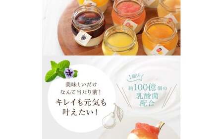 もりん 彩果の恵み 生チーズケーキ6個詰め合わせ