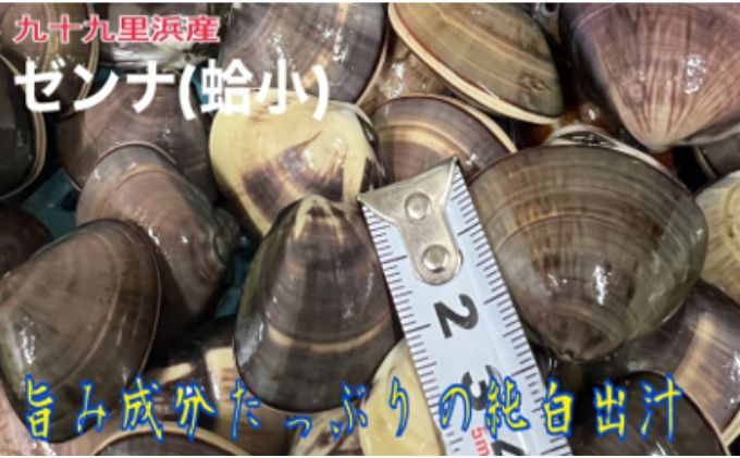 
超大漁盛りがお得うま味が濃い純白出汁の天然”ゼンナ”冷凍（蛤小）15kg入り[№5743-0395]
