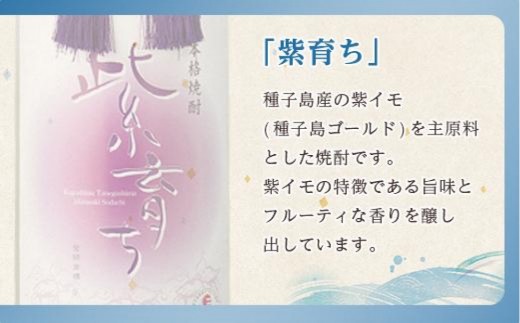 【アイショップ西水店】紫育ち 化粧箱入り 720ml×6本セット（アルコール分25％）
