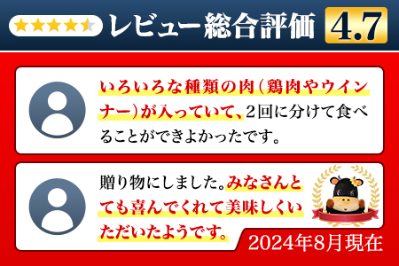 バラエティ美味 焼肉セット 牛肉 豚肉 鶏肉 1.1kg J298