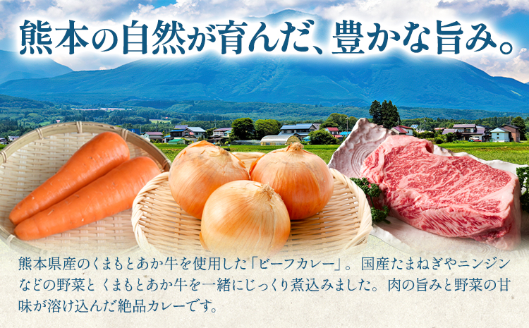 熊本県産あか牛使用 くまもとあか牛 ビーフカレー 4袋 1袋160g レトルト カレー パック 常備食 長期保存 送料無料《30日以内に出荷予定(土日祝除く)》---022-5003---
