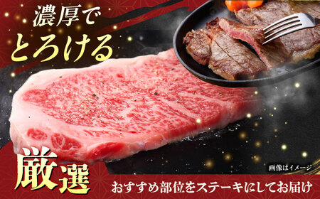 【厳選！おすすめ部位】沖縄和牛 佐渡山牛 ステーキ肉 500g ステーキ 牛肉 和牛 焼肉 赤身 沖縄市 / 肉のサブロー[BCBC001]