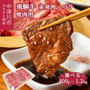 【ふるさと納税】飛騨牛 焼肉 用 量が選べる (400g / 800g / 1.2kg) 赤身 バラ 詰め合わせ 冷凍【熊崎畜産】肉 国産 牛肉 高級 黒毛和牛 人気 ブランド 和牛 お祝い 記念日 誕生日 バーベキュー キャンプ アウトドア BBQ 鉄板焼き お取り寄せ 岐阜県 中津川市 F4N-0609var