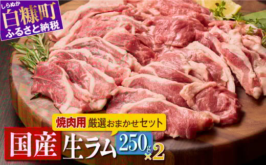 焼肉用ラム肉スライス【250g×2パック,オリジナルスパイス10g】