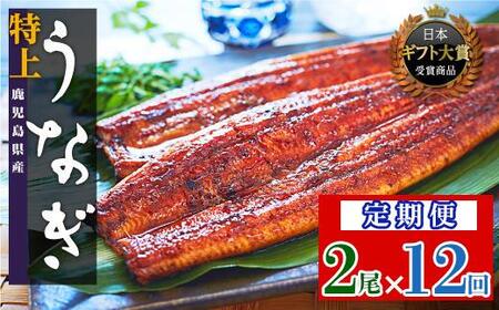 【定期便】おおさきうなぎ 鹿児島県産 うなぎ 長蒲焼2尾（全12回）合計24尾 
