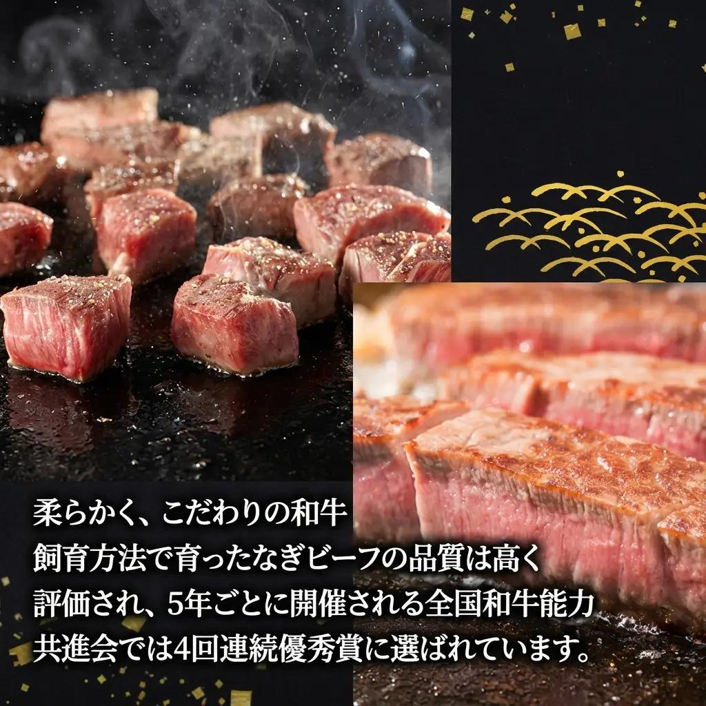 奈義 和牛ヒレ ステーキ なぎビーフ 和牛 【450g】