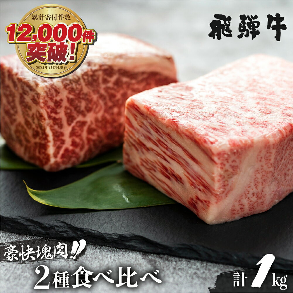 飛騨牛 ブロック肉 1kg(霜降り500g/赤身500g) 訳あり 部位お任せ