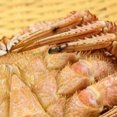 ふるさと納税 森町 【訳あり】北海道産冷凍ボイル毛ガニ(約250g前後〜約300g前後×3尾) |  | 02