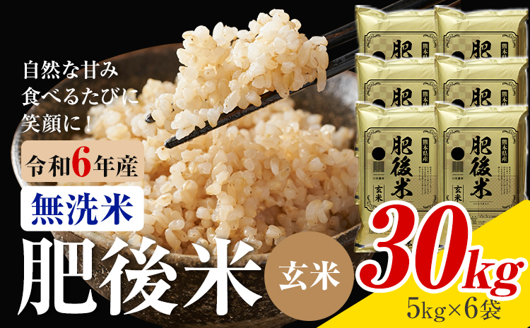 熊本県産 肥後米 無洗米 玄米 30kg 1袋5kg 米 お米 令和6年産 九州産 熊本県産 ブレンド米 送料無料《30日以内に出荷予定（土日祝除く）》玄米 無洗米 米---026-3016---