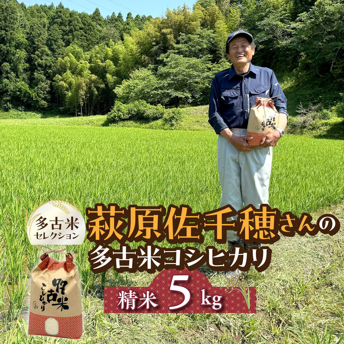 【ふるさと納税】多古米セレクション　萩原佐千穂さんの多古米コシヒカリ　精米5kg　令和8年産【配送不可地域：離島】ふるさと納税 多古米 米 コメ コシヒカリ 精米5kg 新米 冷めても美味しい おかずがいらない 千葉県 多古町【TAKF059】