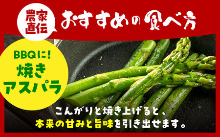 【3から8月発送】 アスパラ 700g（L〜2Lサイズ）　【えぐちファーム】[HDE001]