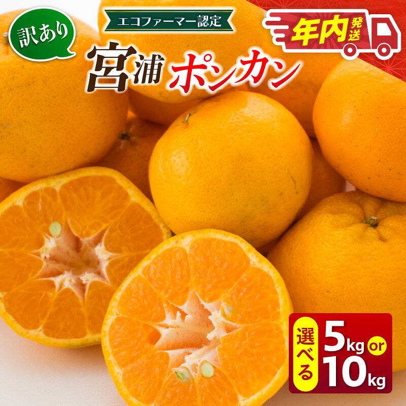 【ふるさと納税】≪内容量が選べる≫ 年内発送 訳あり 宮浦 ポンカン 5kg 10kg 先行予約 フルーツ 果物 くだもの 柑橘 みかん 蜜柑 ワケアリ 不揃い 国産 食品 おやつ デザート みかんジュース おすすめ 旬 ご家庭用 自宅用 傷 おすそ分け 産地直送 宮崎県 日南市 送料無料