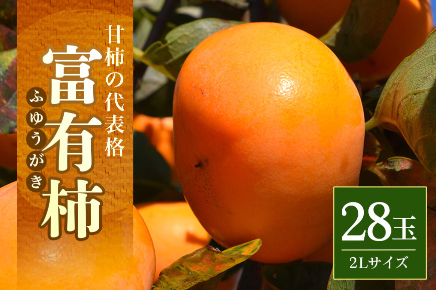 
            【2025年 先行予約】富有柿 2L 28玉（三浦果樹園） 柿 甘い柿 かき 富有カキ 甘い 果物 フルーツ くだもの カキ 富有かき 秋 旬 甘柿 糖度 贈答用 贈答品 ギフト 贈り物 品種 ブランド 11月 発送 産地直送 農家直送 産直 茨城県 石岡市 (A16-002)
          