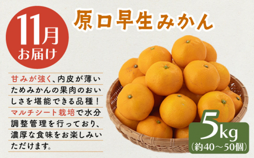 【先行予約・3回定期便】贅沢 柑橘 お便り〈11月：原口早生 5kg・1月：スイートスプリング 10kg・3月：せとか 3kg〉【田崎FARM】[OCU005] / みかん ミカン 蜜柑 柑橘 川棚町