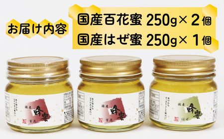 国産はちみつ 3個 セット 非加熱 宇和島農産 人気 百花蜜 はぜ蜜 無添加 蜂蜜 はちみつ 百花蜂蜜 蜂蜜 はちみつ 百花はちみつ 純粋はちみつ 生はちみつ 天然はちみつ 蜂蜜 はちみつ 天然蜂蜜 