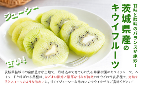 キウイフルーツ4kg《2026年2月上旬-2月中旬頃出荷》 キウイキウイキウイ