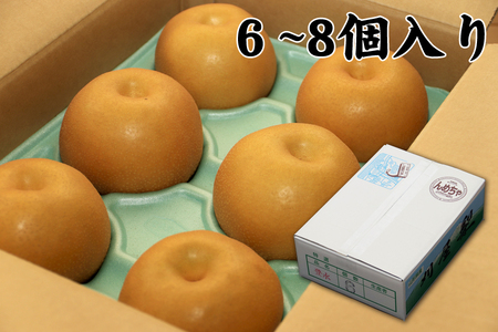 酒田産刈屋梨　和梨【豊水】約3kg(6～8玉入り) SA2711