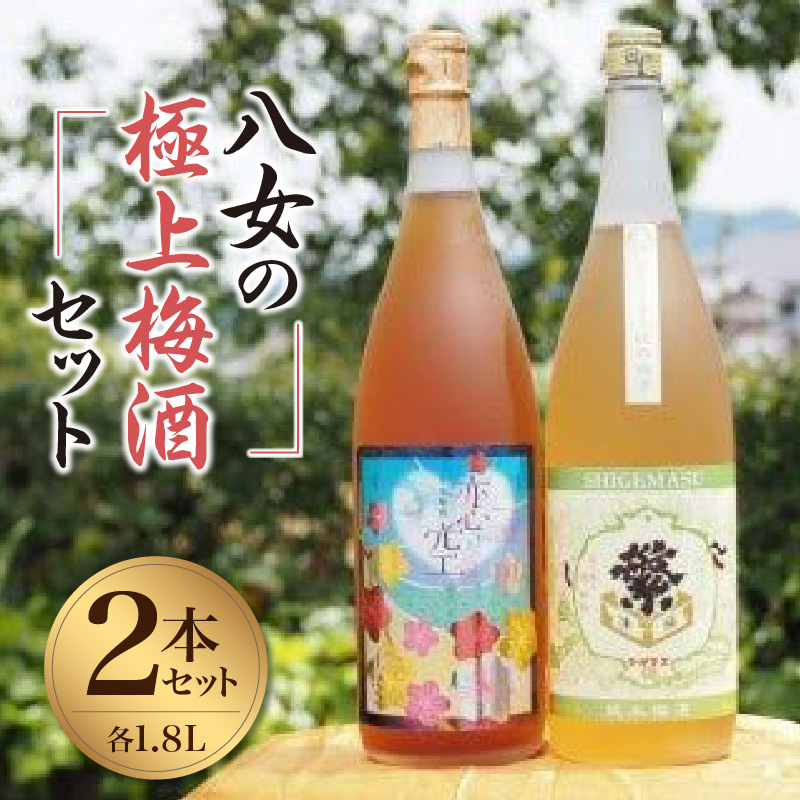 八女の極上梅酒セット 純米酒仕込み 飲み比べ お酒 本格梅酒 ロック 福岡県 八女市