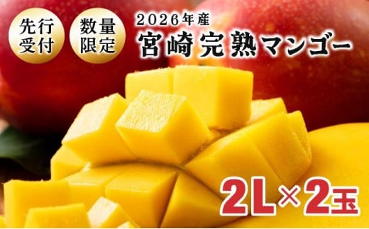 
                  KU019 【令和8年発送分　先行予約！】＜数量限定＞ 串間産完熟マンゴー（2L×2玉）
                