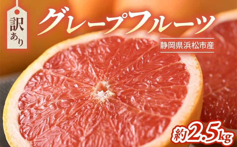 
                  【2027年4月上旬より順次発送】【訳あり】静岡県浜松市産グレープフルーツ 約2.5kg（5～12個） 果物 くだもの フルーツ 果物類 柑橘類 旬のフルーツ 季節の果物 静岡 浜松市 [№5360-1959]
                