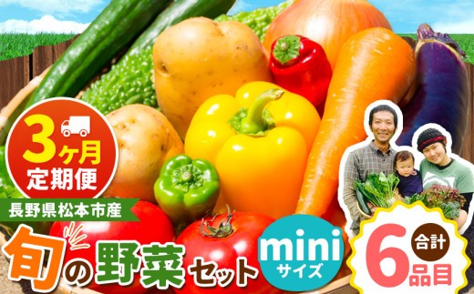 【定期便3回】子育て農家の野菜セット（miniサイズ）農薬・化学肥料不使用 | 定期便 無農薬 野菜 やさい 長野県 松本市 信州産 ふるさと納税