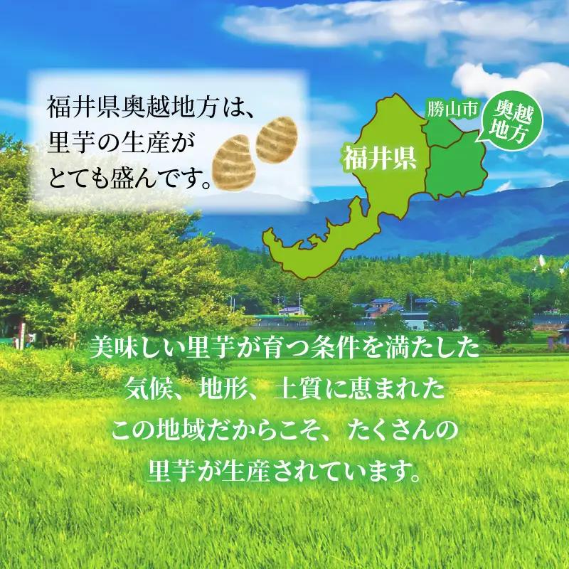 里芋 奥越産 皮むき 1.2kg×2パック [A-037009]