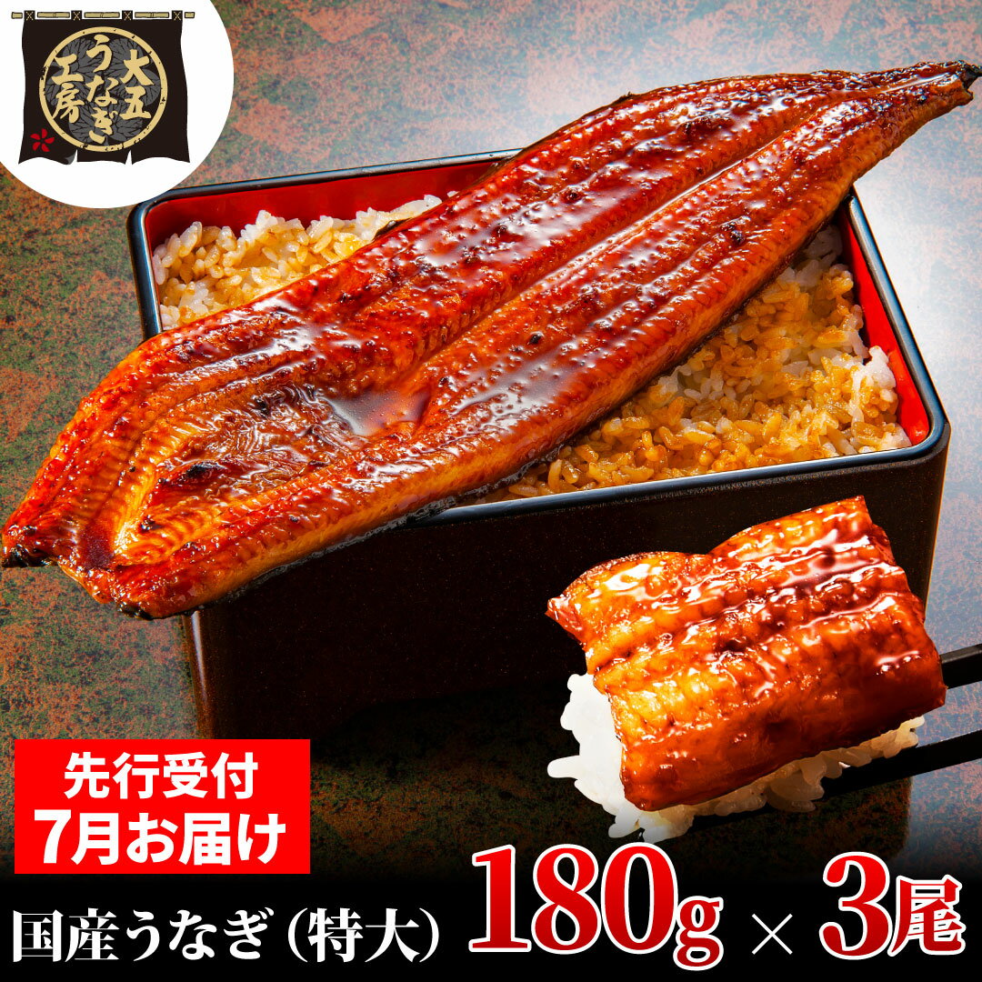 【ふるさと納税】先行受付 【7月上旬配送】 うなぎ蒲焼 180g×3尾(540g) うなぎ 鰻 蒲焼 蒲焼き 大五通商 静岡 島田市　お届け：2025年7月1日～2025年7月10日