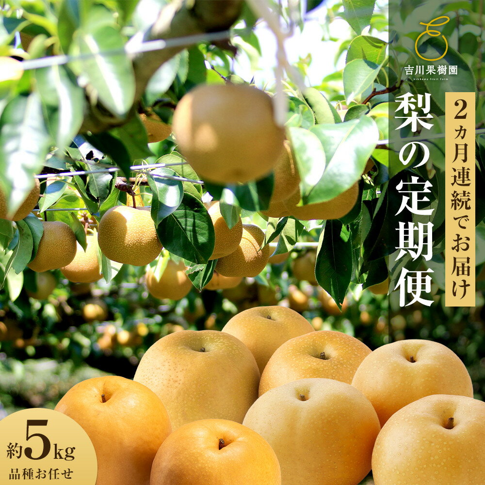 【ふるさと納税】【2026年発送分 先行予約】【梨の定期便／全2回発送】和梨2カ月連続お届け 5kg（品種おまかせ）
