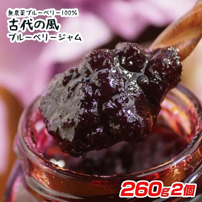 『古代の風』無農薬ブルーベリージャムBig  260g×2個＜23-14a＞