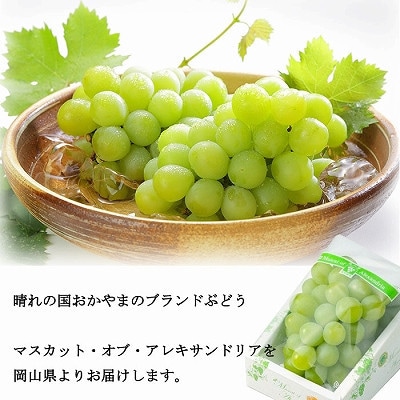 【2025年6月発送】岡山県産　マスカット・オブ・アレキサンドリア　600g×1房【配送不可地域：離島・北海道・沖縄県】