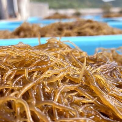 ふるさと納税 伊平屋村 伊平屋島で獲れた味付けもずく 260g×8袋 |  | 02