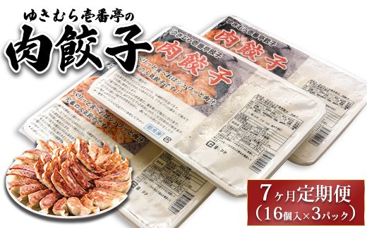 
            【7ヶ月定期便】ゆきむら壱番亭の肉餃子3パック(48個入り) ※離島への配送不可
          