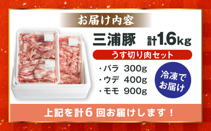 【6回定期便】 特盛三浦豚 1.6kg 豚肉セット / バラ ウデ モモ 国産 ポーク 大容量 / 恵那市 / あづま精肉店 [AUDL007]