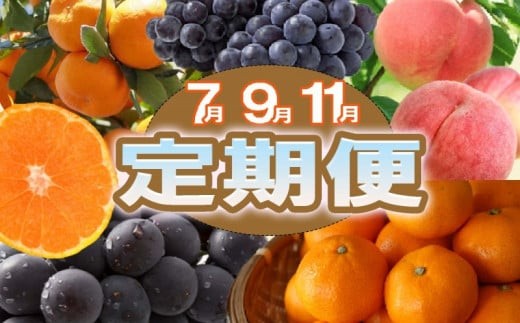 
                  【3回定期便】【7・9・11月】産直・和歌山フルーツ定期便（桃・ピオーネ・有田みかん） 【tkb415】
                