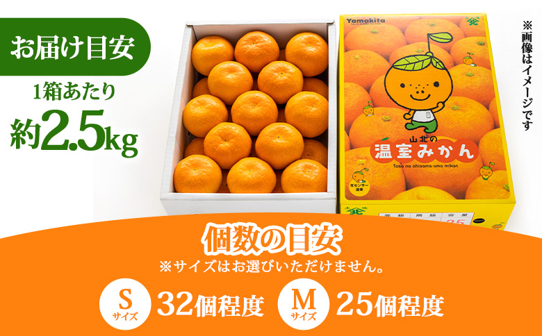 【2回定期便】山北温室みかん 2.5kg Wku-0061