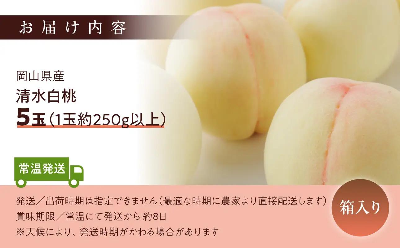 【2026年発送】清水白桃　5玉入り（7月下旬～8月初旬頃発送）【 白桃 桃 もも】