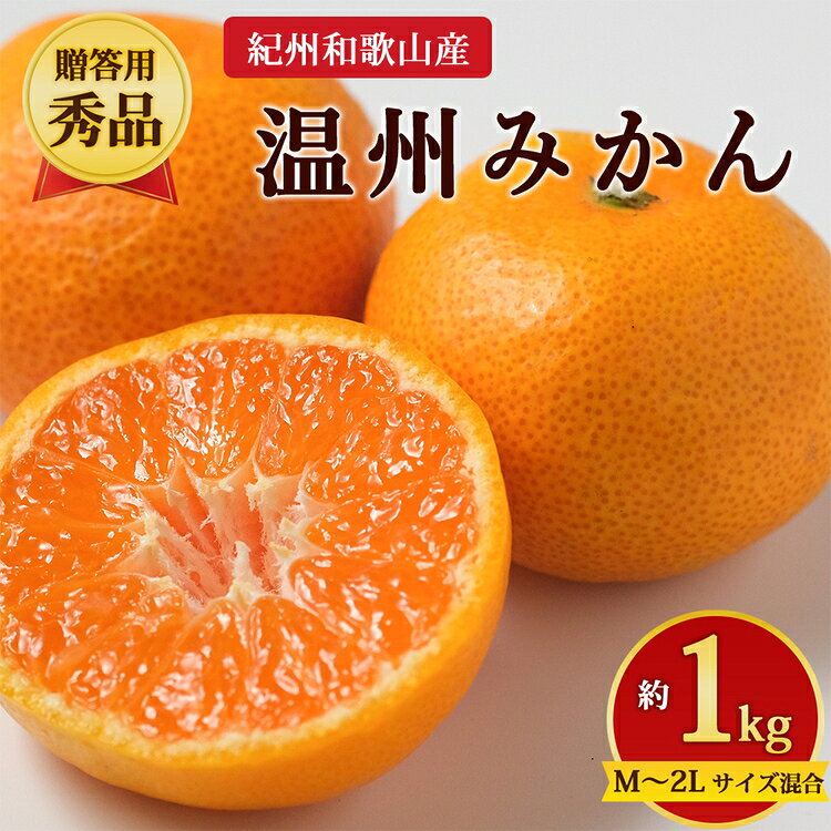 【ふるさと納税】＼選べる発送時期／ 【先行予約】【贈答用・秀品】紀州和歌山産 温州みかん 約1kg（箱込み）M～2L サイズ混合