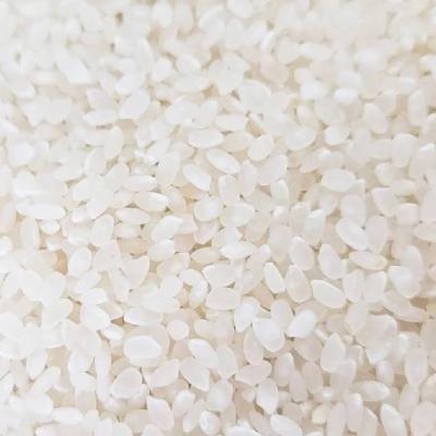 ふるさと納税 松前町 【2026年10月から順次発送予定】 米 ヒノヒカリ 精米 10kg 未検査米 【HSH001】 |  | 01