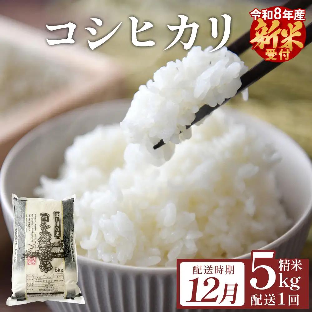【12月配送】 ＜先行予約＞ 米 令和8年産 コシヒカリ 精米 5kg 単品 新米 こめ コメ お米 ご飯 白米 こしひかり