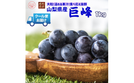 【2026年発送★先行予約】クール便発送　巨峰 1kg (2～3房) 179-008-26y