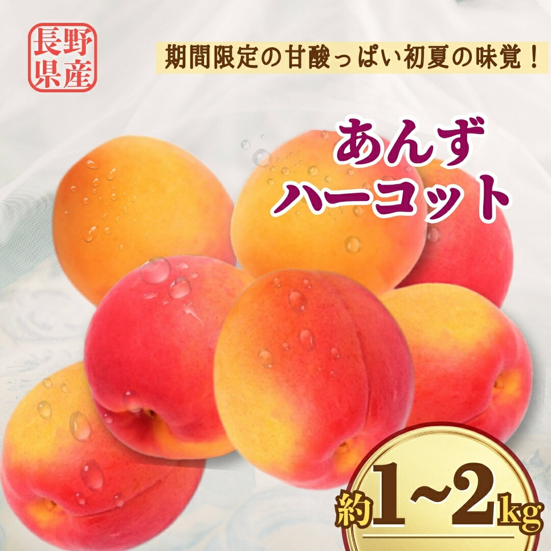 【ふるさと納税】【2026年先行予約】あんず ハーコット 約1kg / 約2kg｜ 生あんず 果物 フルーツ 杏子 アンズ アプリコット 千曲市 長野県 信州