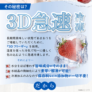 【数量限定】福岡県産あまおう（冷凍1kg）特別栽培_数量限定 急速冷凍 いちご あまおう 1kg 冷凍 3Dフリーザー 長期保存可能 国産 サクサク シャーベット フルーツ デザート フレッシュ 果物