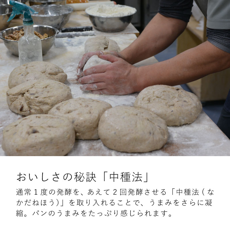 味もボリュームも大満足！凜香のこだわり酵母パンお試しセット【E-006】