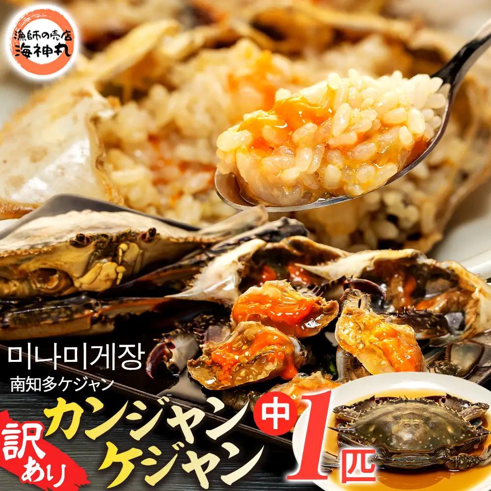 訳あり 南知多カンジャンケジャン カンジャンケジャン 中蟹1匹 ワタリガニの醤油漬け 魚介 魚介類 カンジャンケジャン 渡蟹 蟹 新鮮 グルメ カニ