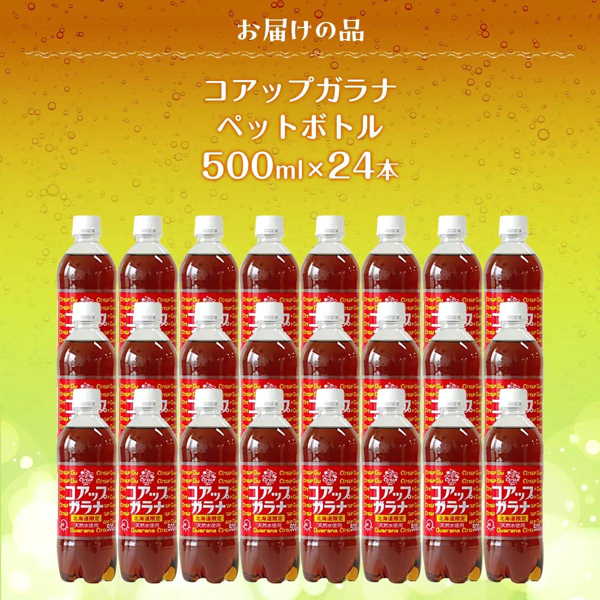 【ふるなびWEEK対象】高評価★5.0 コアップガラナ24本セット（500mlペットボトル） NAQ003