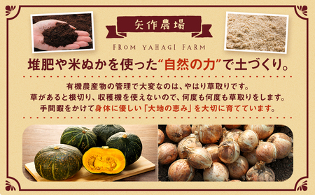 【先行受付】R8年産 有機栽培玉ねぎ・かぼちゃセット 合計20kg | 玉ねぎ たまねぎ タマネギ 玉葱 かぼちゃ カボチャ 南瓜 セット 詰め合わせ 大容量 オニオン パンプキン 甘い 有機栽培 国