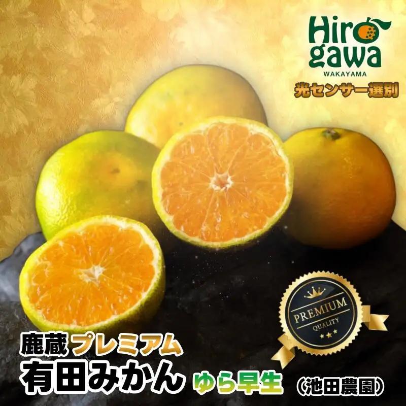 鹿蔵 プレミアム 有田みかん ( ゆら早生 ) 5kg+250g（傷み補償分） 光センサー 選果 ※北海道・沖縄・離島への配送不可 ※2026年10月上旬～11月中旬頃に順次発送/ 温州 みかん 厳選 柑橘 果物 フルーツ 和歌山 【ikd003-prem-5B】