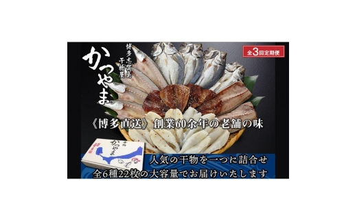 【全3回定期便】昔ながらの製法で作った干物詰合せ 全6種22枚×3回 魚 お魚 さかな 食品 人気 おすすめ 送料無料