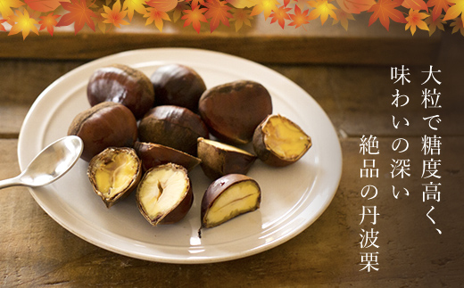 【先行予約11月上旬発送】秦栗園のあま～い氷蔵丹波栗 筑波2L むき500g【第1回福知山市ええもん認定】【熟成】 大粒 FCAC013